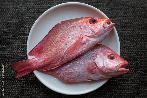 maya maya fish|Steamed Maya Maya (Red Snapper) .